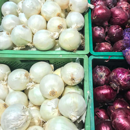 White and red onionsの写真素材