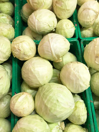 Heads cabbage in boxes. Studio Photoの写真素材