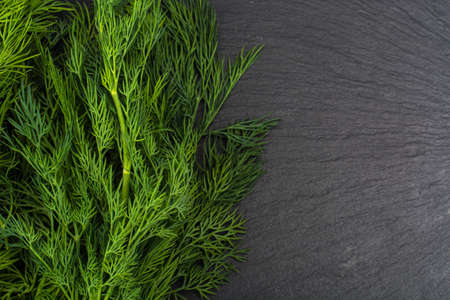 Bunch of fresh green dillの写真素材