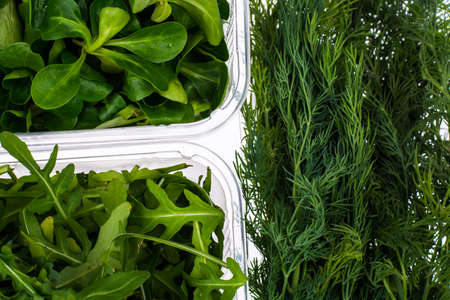Fresh greens in packagesの写真素材