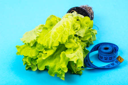 The concept of weight loss. Dietary food, green saladの写真素材