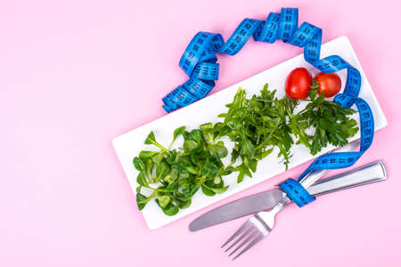The concept of weight loss. Dietary food, green saladの写真素材