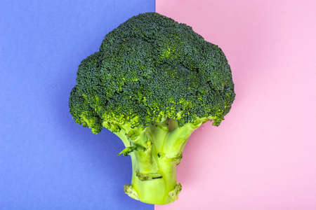 Vegetarian food concept, broccoliの写真素材