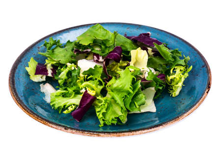 Fresh garden salads on blue plateの写真素材