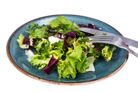 Fresh garden salads on blue plateの写真素材