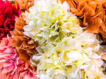 Bright artificial flowers. Studio Photo
の写真素材