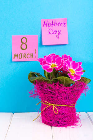 International Womens Day March 8. Reminder, sheets on bright background. Bouquet of flowers on...