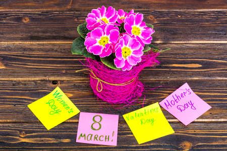 Cards for the Valentines Day, International Womens Day, March 8, Mothers Day. Pink beautiful...