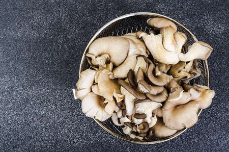 Oyster mushrooms for cooking on gray background. Studio Photoの写真素材
