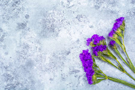 Dry flowers of kermek, limoniumの写真素材