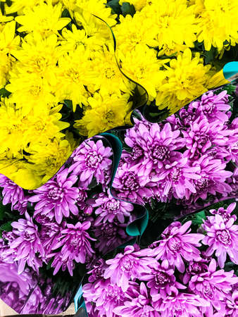 Bouquets of flowers in supermarket, top view. Studio Photo
の写真素材