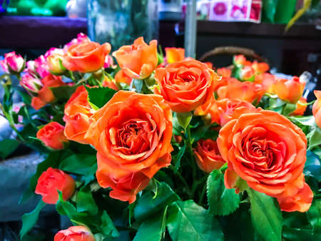 Bouquet of orange small roses. Studio Photoの写真素材