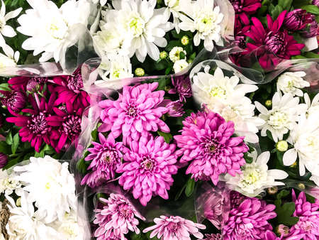 Bouquets of flowers in supermarket, top view. Studio Photo
の写真素材