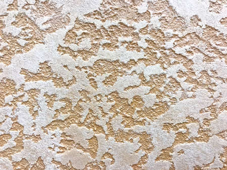 Decorative color plaster, finishing materials, construction concept. Studio Photoの写真素材