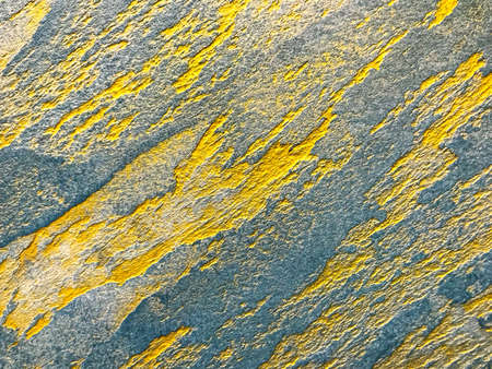 Decorative color plaster, finishing materials, construction concept. Studio Photo