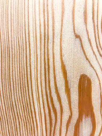 The structure of natural wooden surface. Studio Photoの写真素材