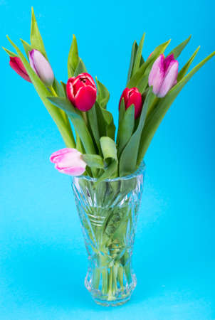 Bouquet of beautiful fresh tulips in crystal vintage vaseの写真素材