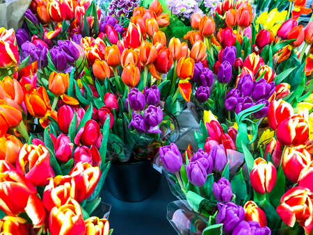 Bouquets of fresh colorful tulips, sale in the marketの写真素材