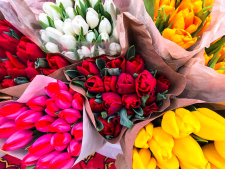 Bouquets of tulips of different colorsの写真素材