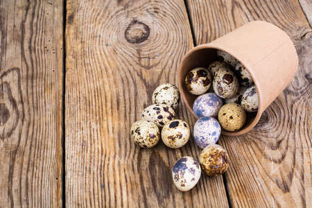 Quail eggs in cardboard box on wooden tableの写真素材