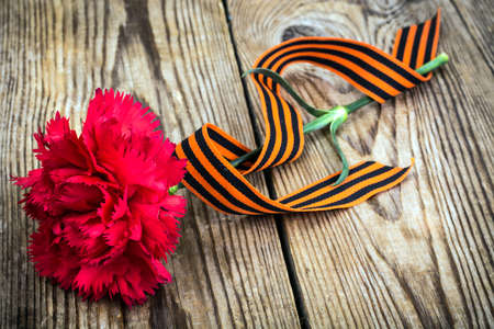 Red carnation with St. George's ribbon is the symbol of Victory Day. Studio Photo