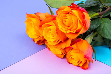 Bouquet of roses on bright background with place for text, background for greeting card. Studio...