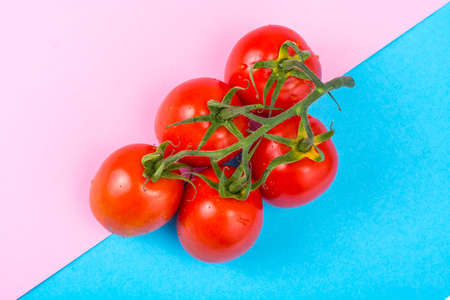 Branch of red tomatoes on bright background. Studio Photoの写真素材