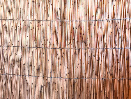 Decorative background of dry bamboo trunks. Studio Photo