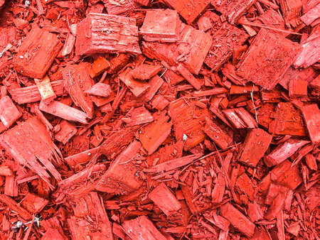 Decorative red chips bark of treesの写真素材