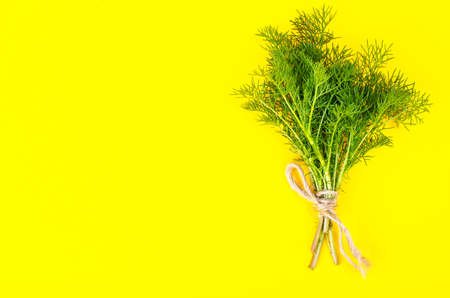 Bunch of green young shoots with rootsの写真素材