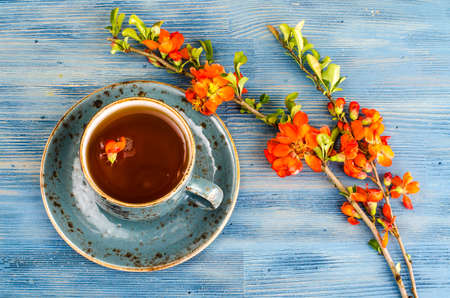Herbal hot tea from pink flowers. Studio Photo