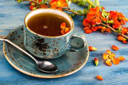 Herbal hot tea from pink flowers. Studio Photoの写真素材