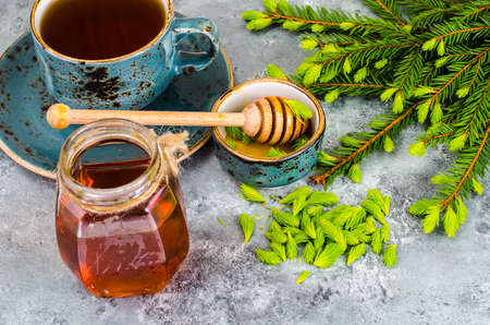 Honey, jam from green spruce shoots. Studio Photoの写真素材