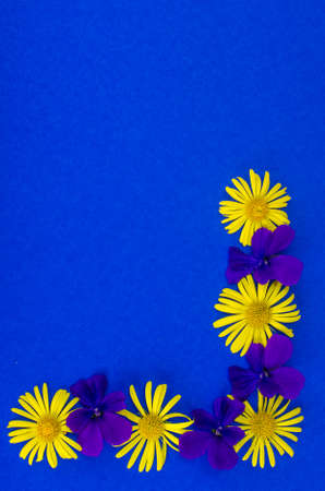 Postcard, card, creative layout of flowers on colored background with space for text. Studio Photoの写真素材