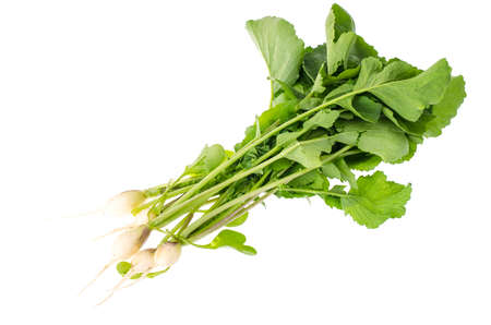 Bunch of fresh radish with green leaves on white front
