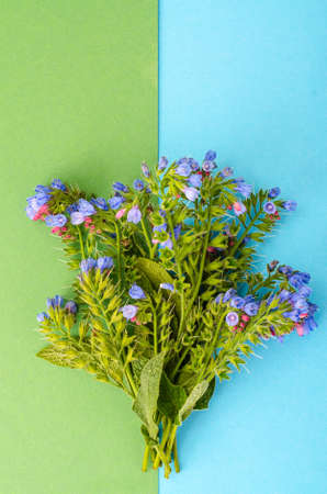 Small bouquet of blue flowers with green leavesの写真素材