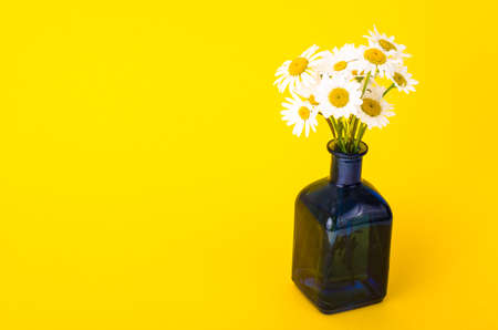 Small bouquet of white daisies in vaseの写真素材