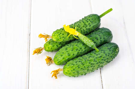 Fresh green cucumbers on white wooden table. Studio Photoの写真素材
