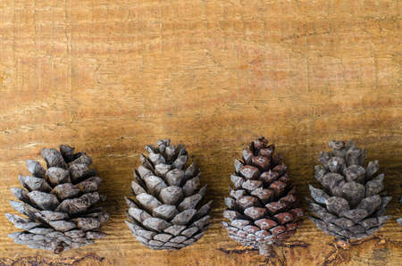 Brown pine and cedar cones on wooden background. Studio Photo