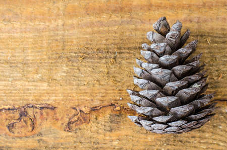 Brown pine and cedar cones on wooden background. Studio Photoの写真素材