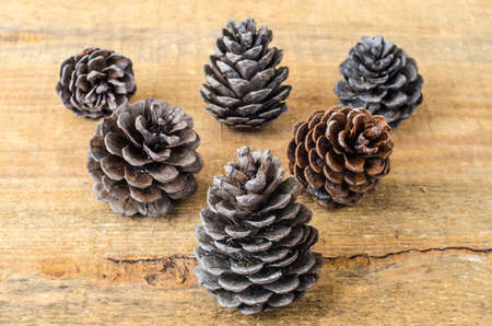 Brown pine and cedar cones on wooden background. Studio Photo