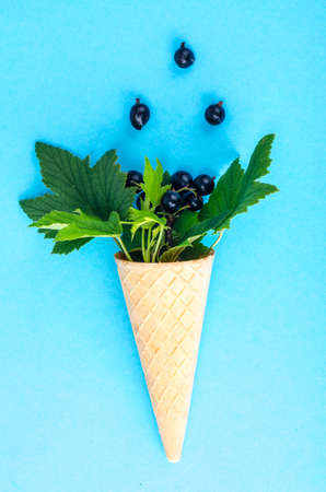 Waffle horn, black currant. Studio Photo