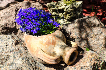 Clay jug of pots with blue flowers. Studio Photo