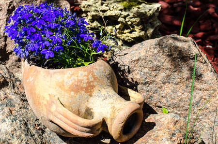 Clay jug of pots with blue flowers. Studio Photoの写真素材
