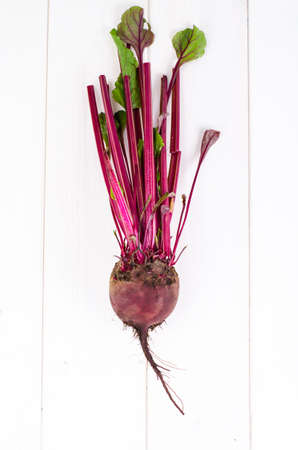 Beet ripe purple with green leaves.の写真素材