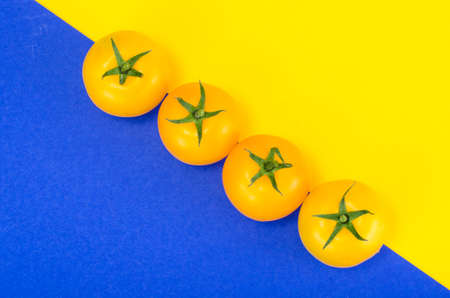 Bright yellow and red tomatoes on colored backgroundの写真素材