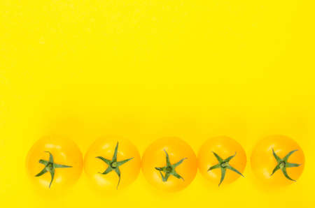 Bright yellow and red tomatoes on colored backgroundの写真素材