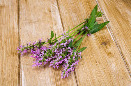 Bouquet of wildflowers lilac. Studio Photo