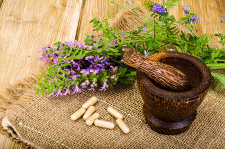 Natural herbal capsules from medicinal plantsの写真素材