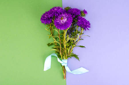 Bouquet of garden flowers on bright backgroundの写真素材